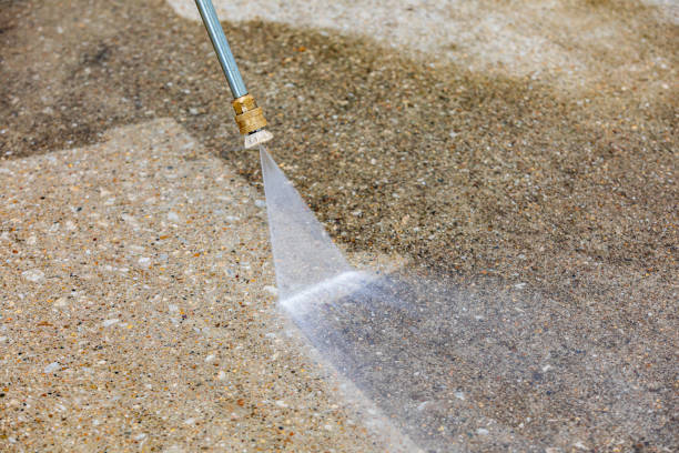 Best Animal Enclosure Cleaning  in Phoenix Lake, CA